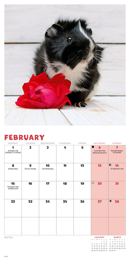 Guinea Pigs Mini Calendar 2027