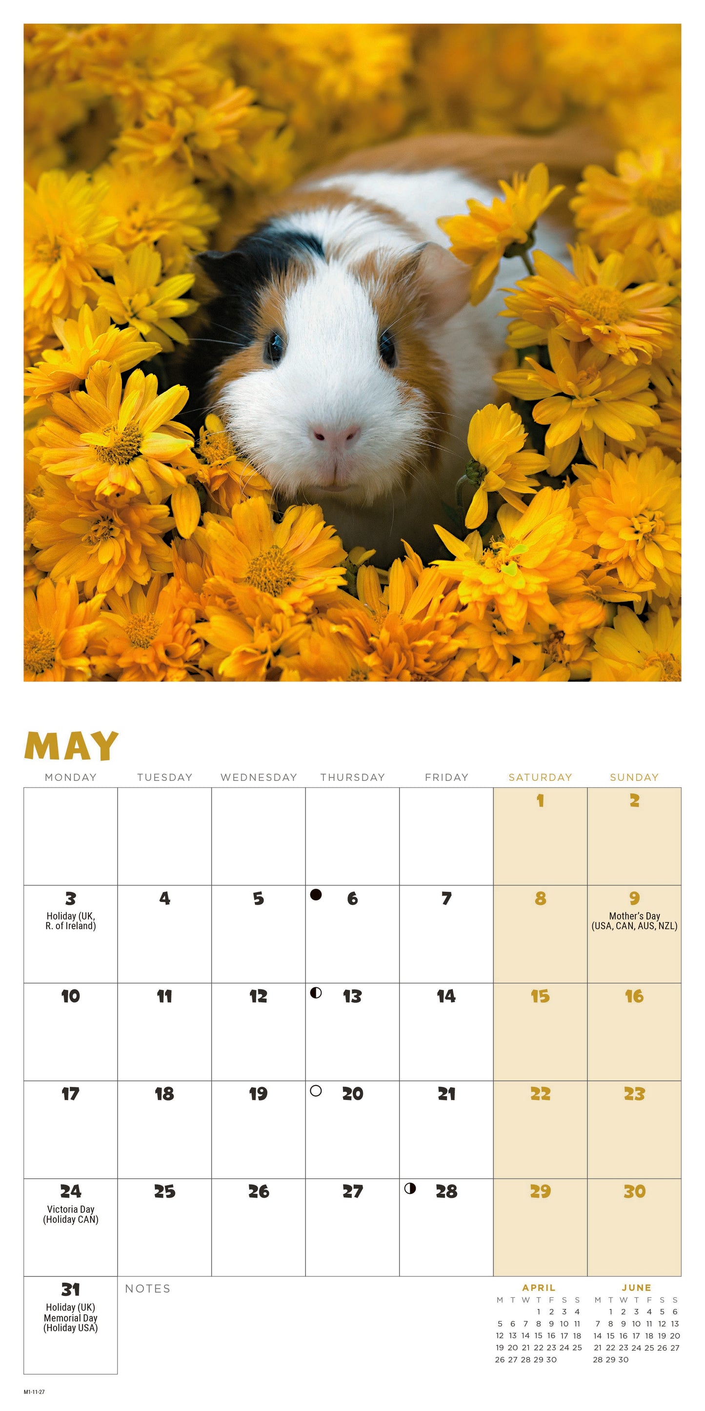 Guinea Pigs Mini Calendar 2027