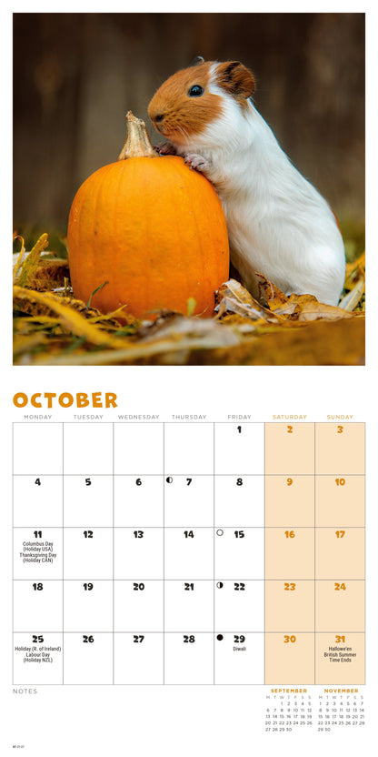 Guinea Pigs Mini Calendar 2027