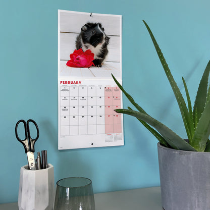 Guinea Pigs Mini Calendar 2027