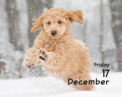 Puppies Mini Box Calendar 2027