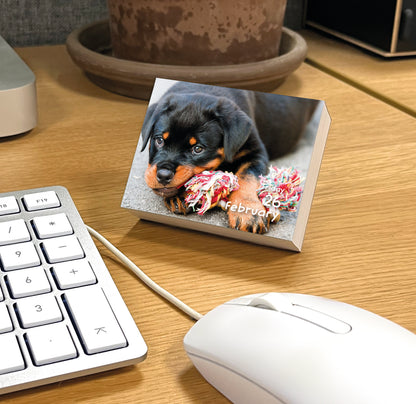 Puppies Mini Box Calendar 2027