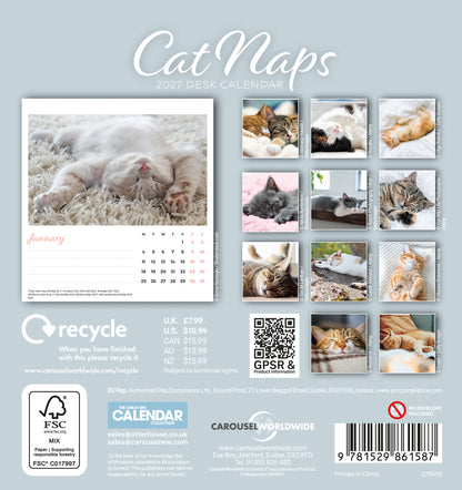 Cat Naps Easel Calendar 2027