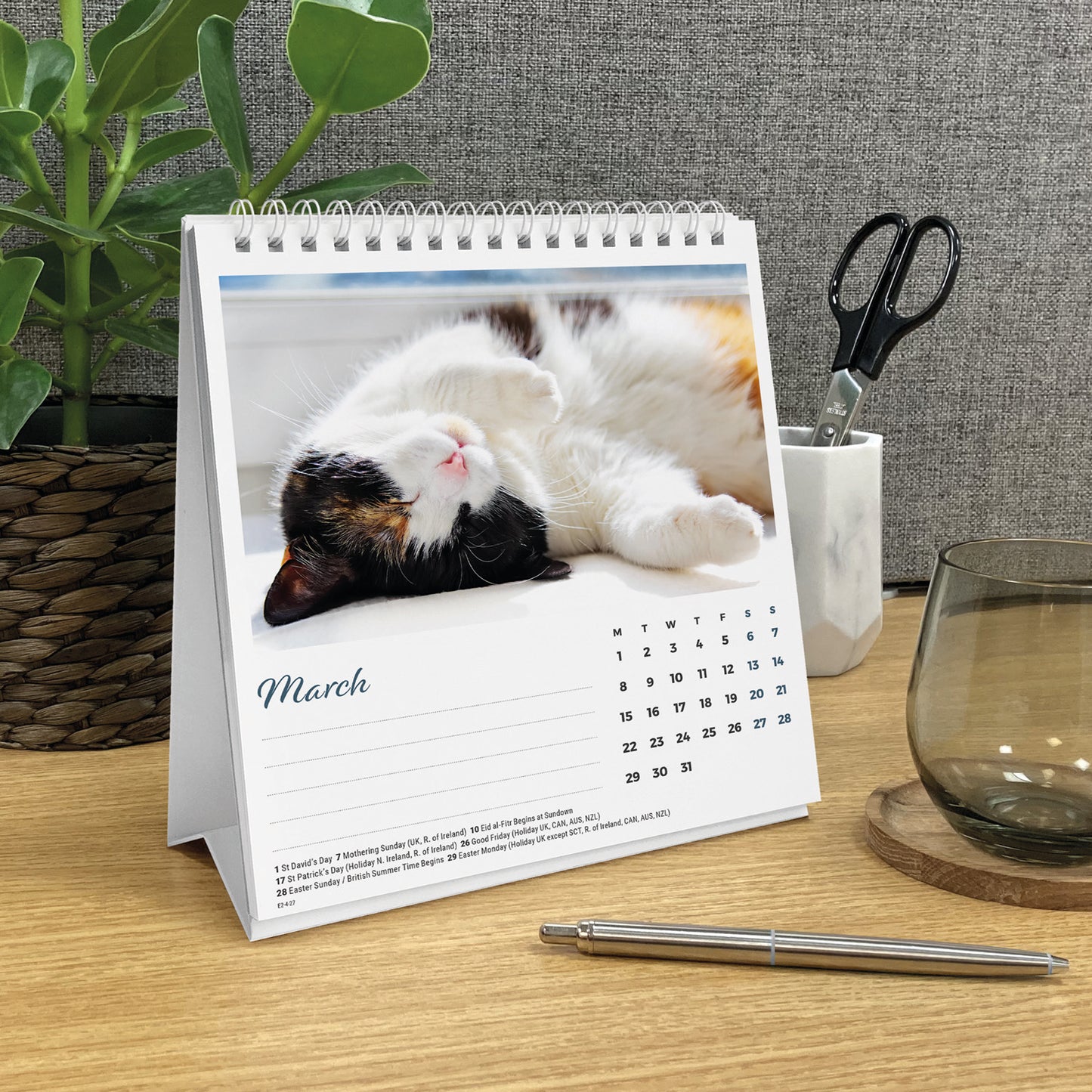 Cat Naps Easel Calendar 2027