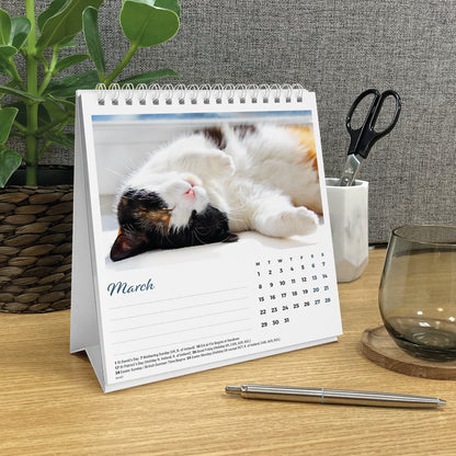 Cat Naps Easel Calendar 2027