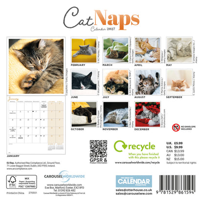 Cat Naps Mini Calendar 2027
