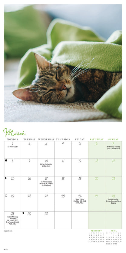 Cat Naps Mini Calendar 2027