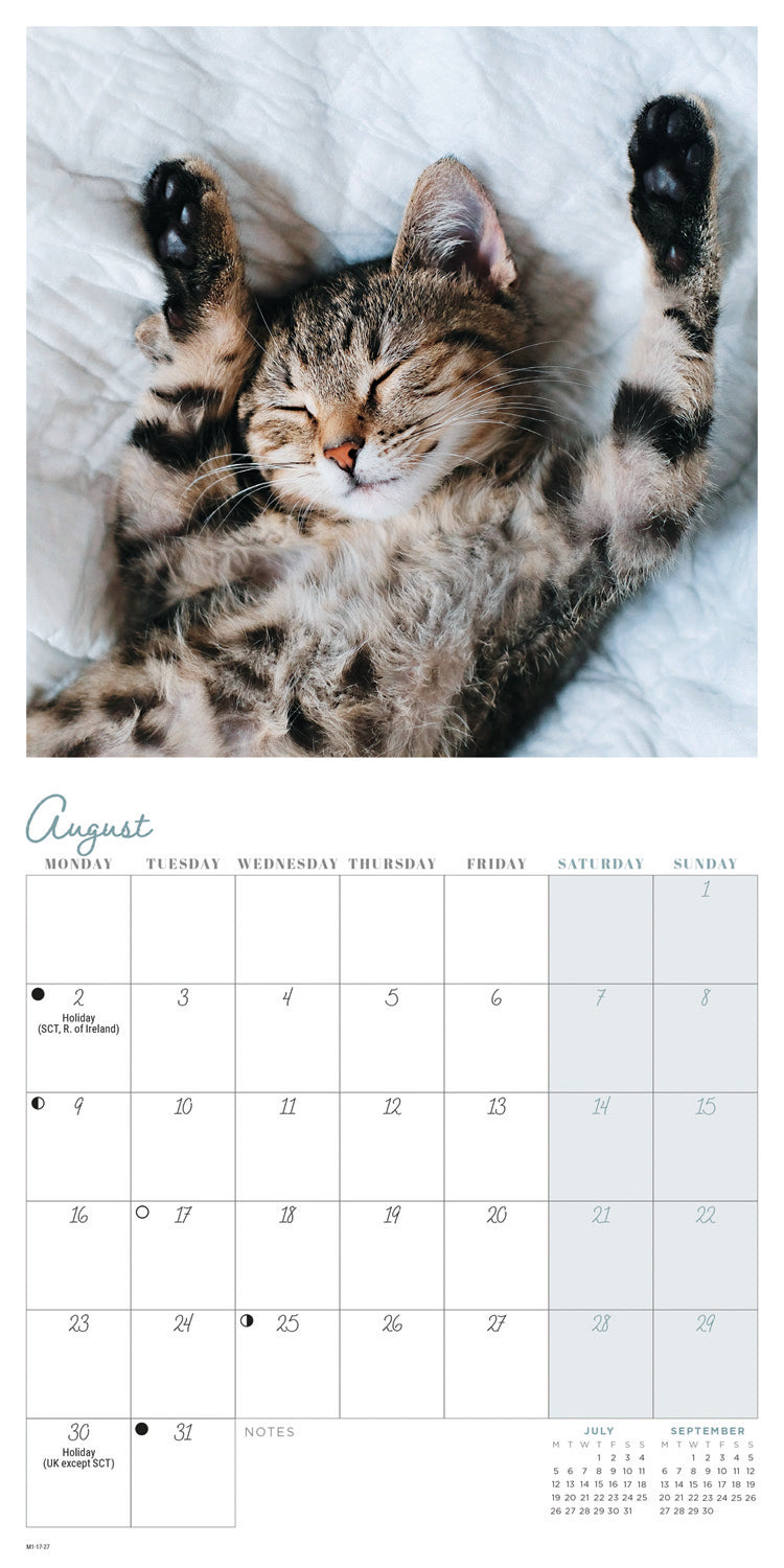 Cat Naps Mini Calendar 2027