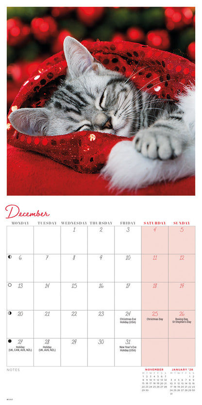 Cat Naps Mini Calendar 2027