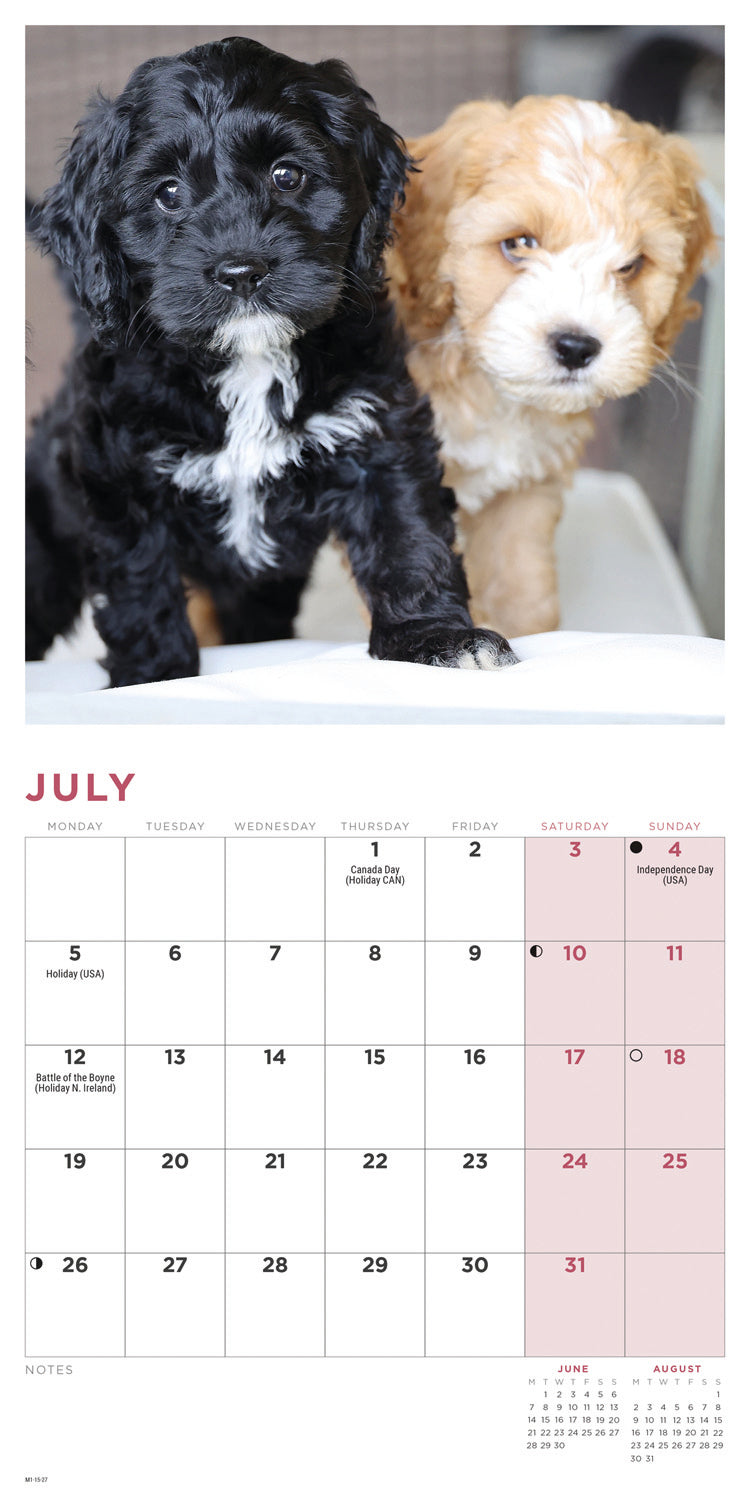 Cockapoo Puppies Mini Calendar 2027