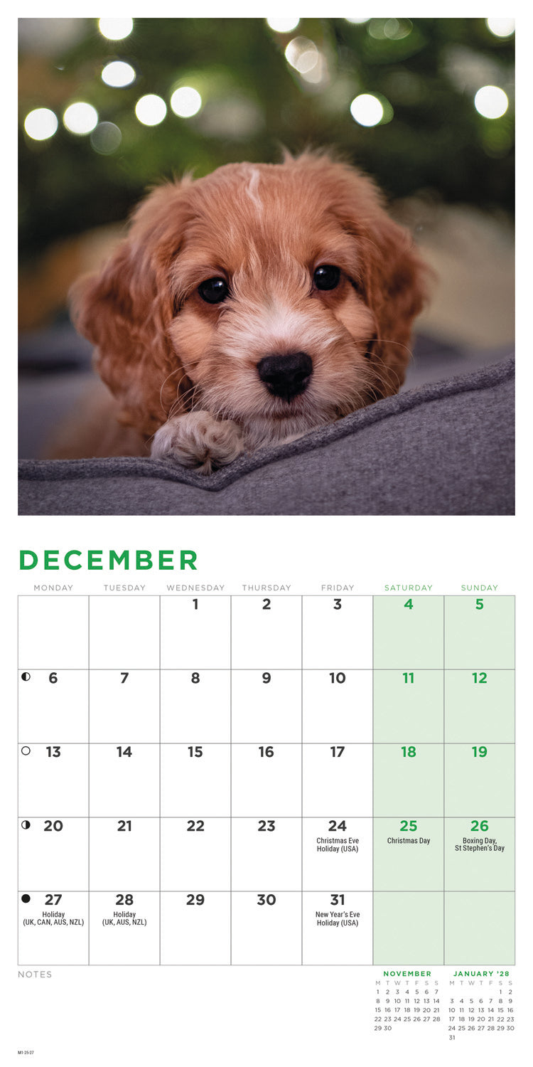 Cockapoo Puppies Mini Calendar 2027