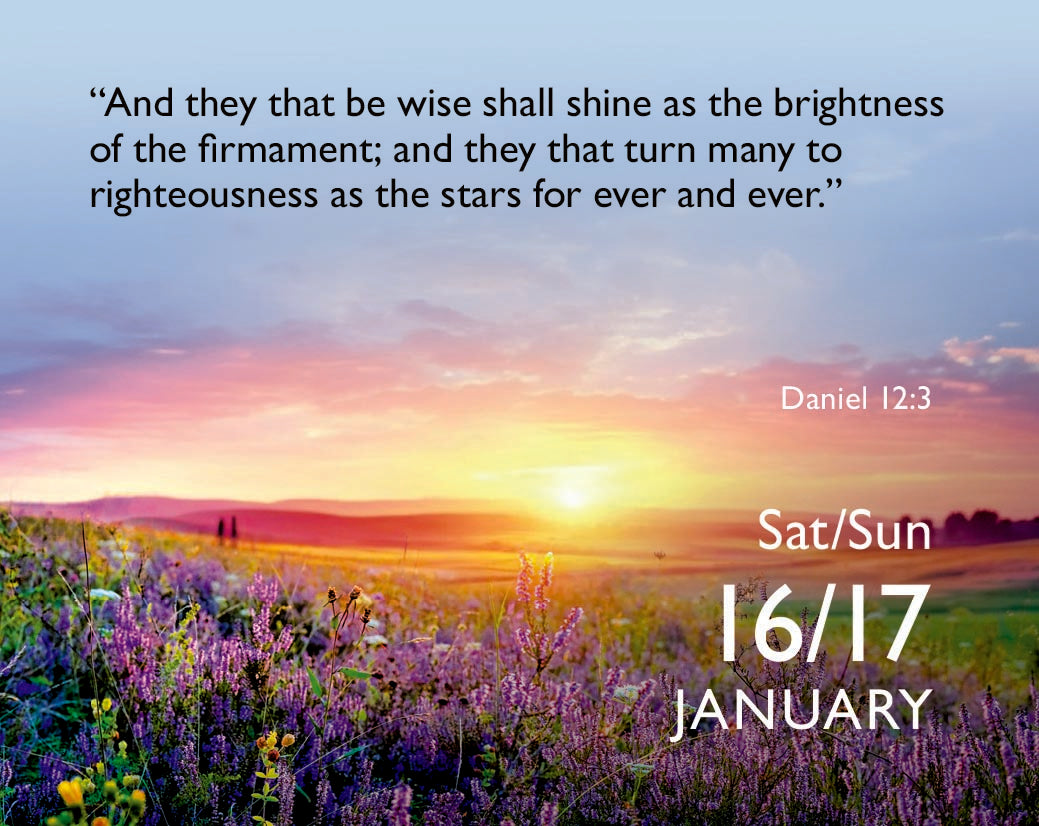 Bible Verse a Day Mini Box Calendar 2027