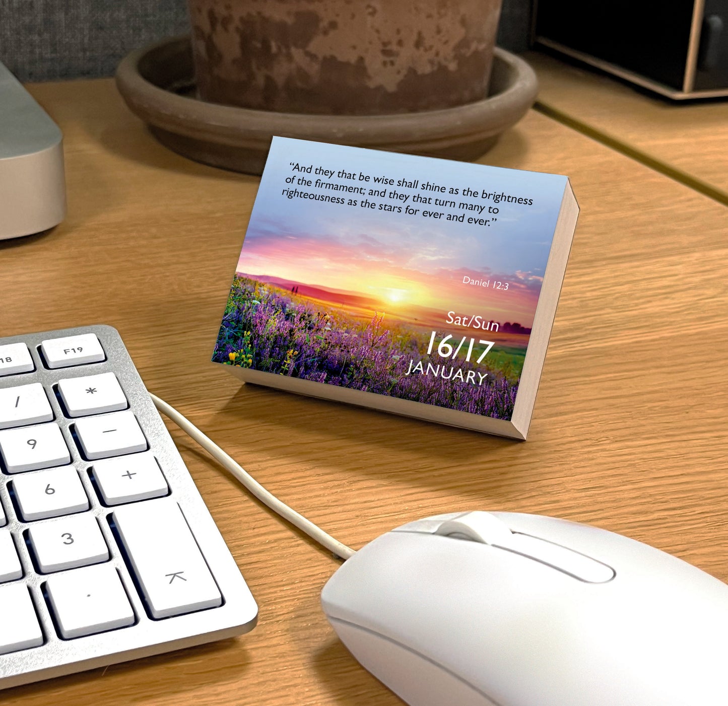 Bible Verse a Day Mini Box Calendar 2027