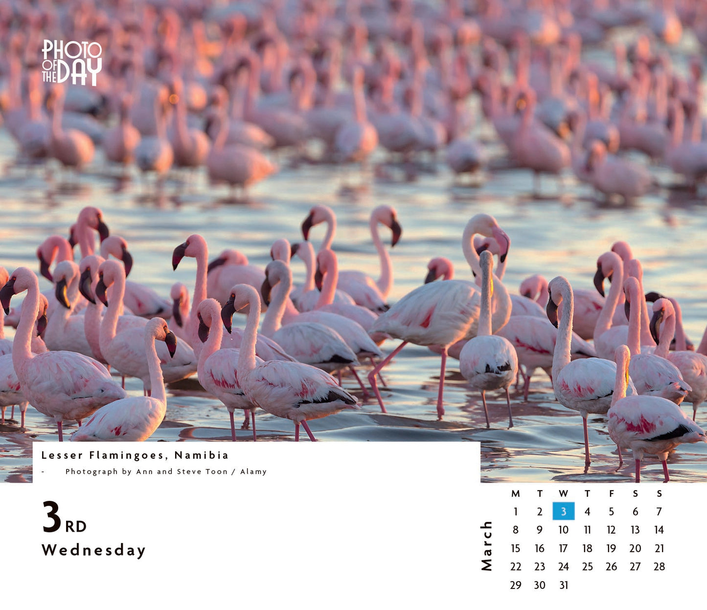 Photo of the Day Box Calendar 2027
