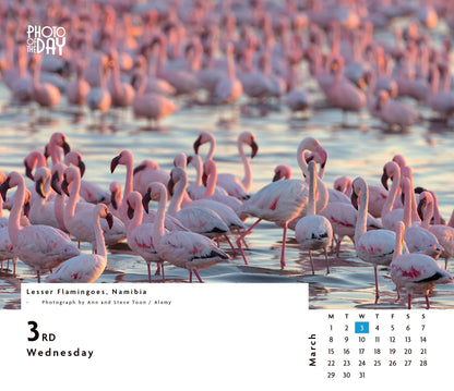 Photo of the Day Box Calendar 2027