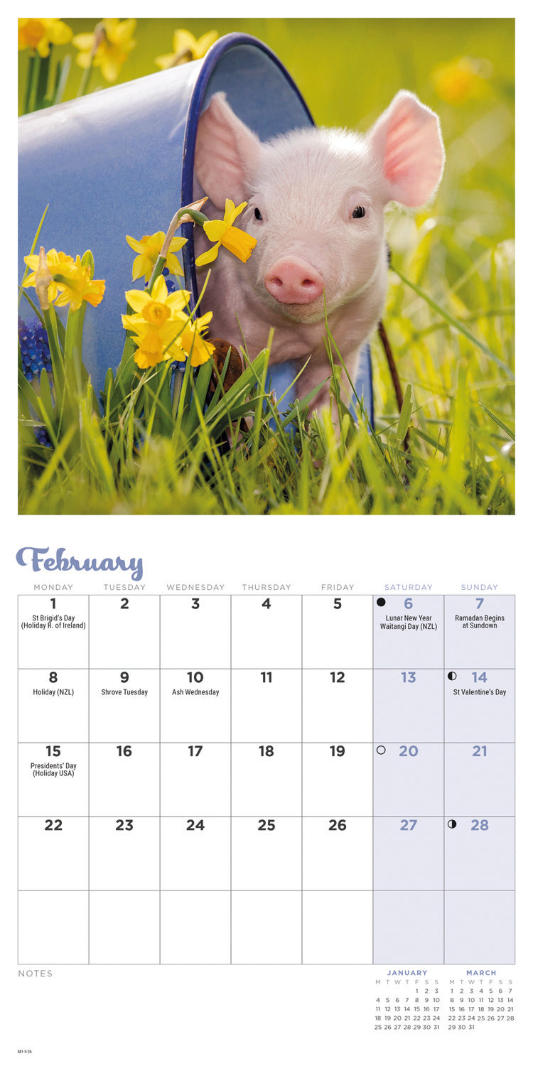 Piglets Mini Calendar 2027