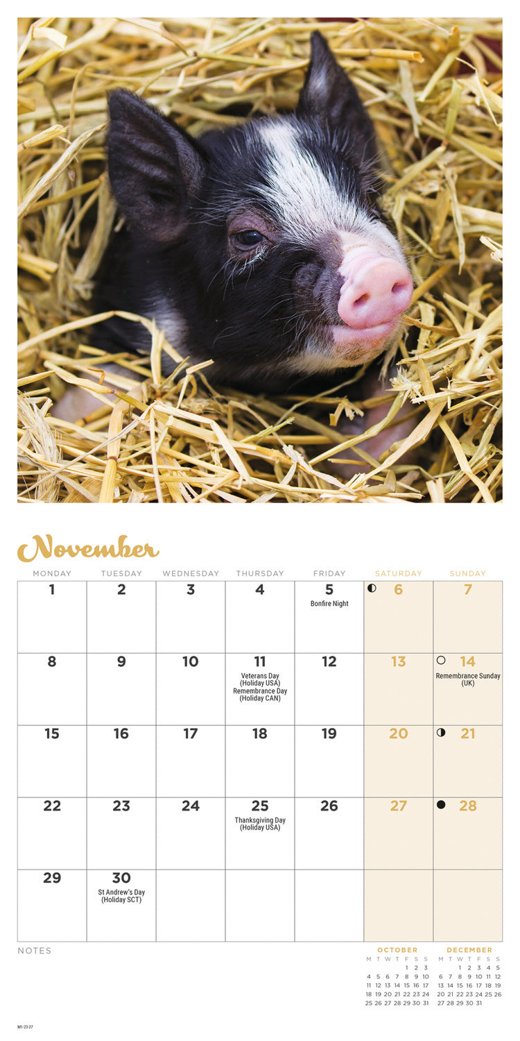 Piglets Mini Calendar 2027