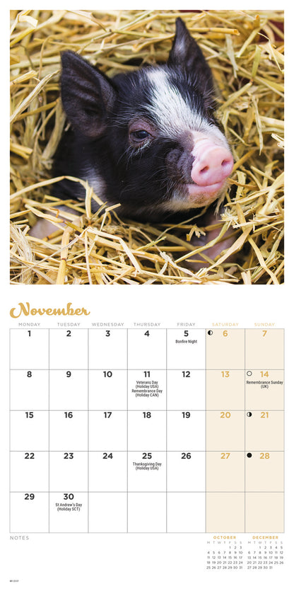 Piglets Mini Calendar 2027