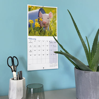 Piglets Mini Calendar 2027