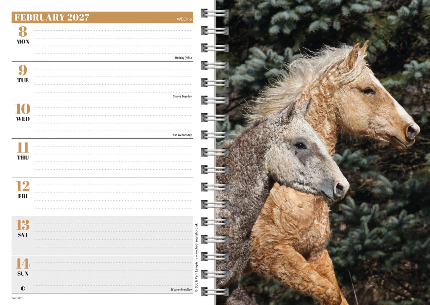 Horses A5 Diary 2027