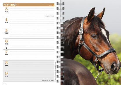 Horses A5 Diary 2027