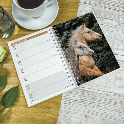 Horses A5 Diary 2027