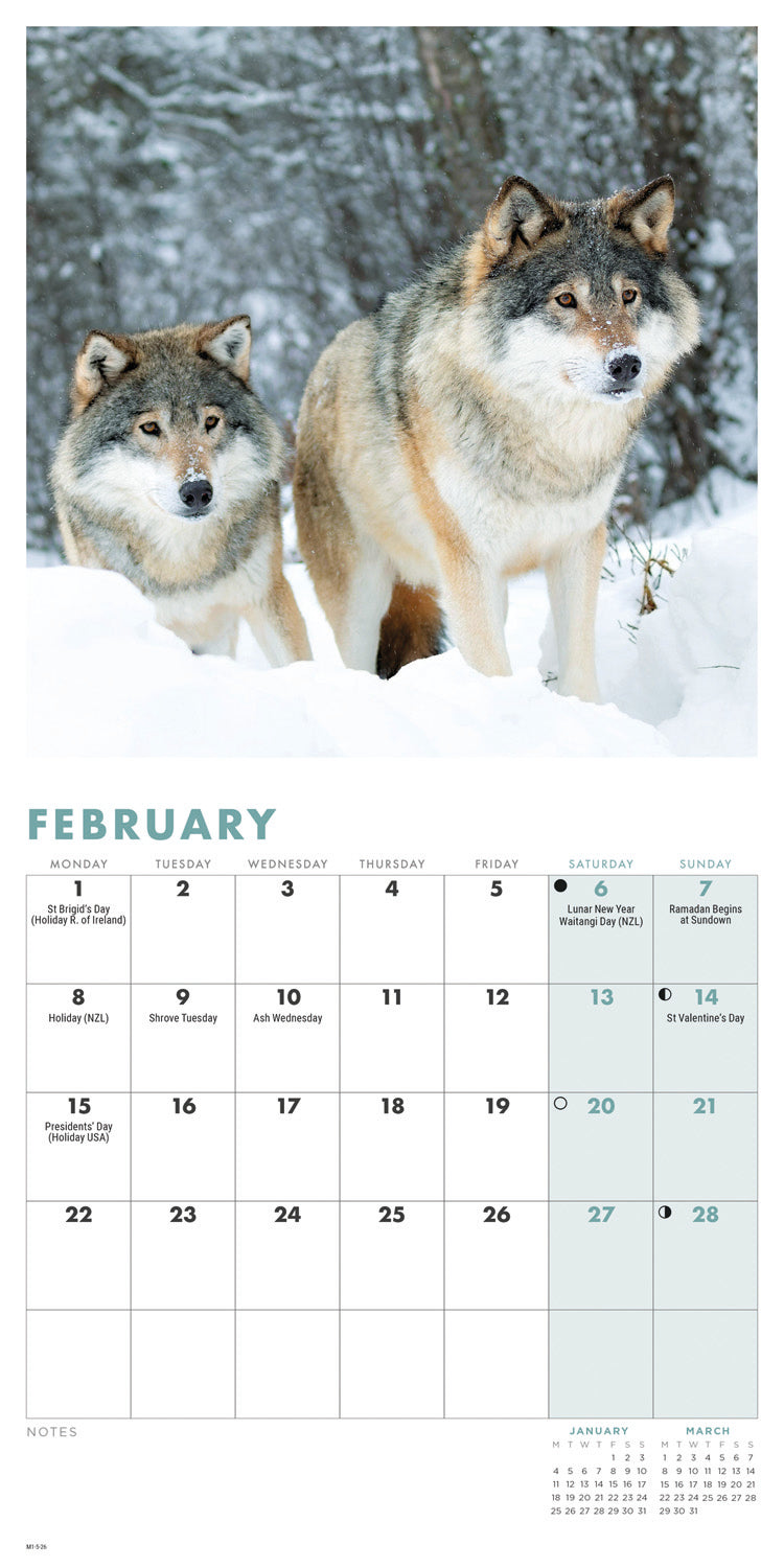 Wolves Mini Calendar 2027