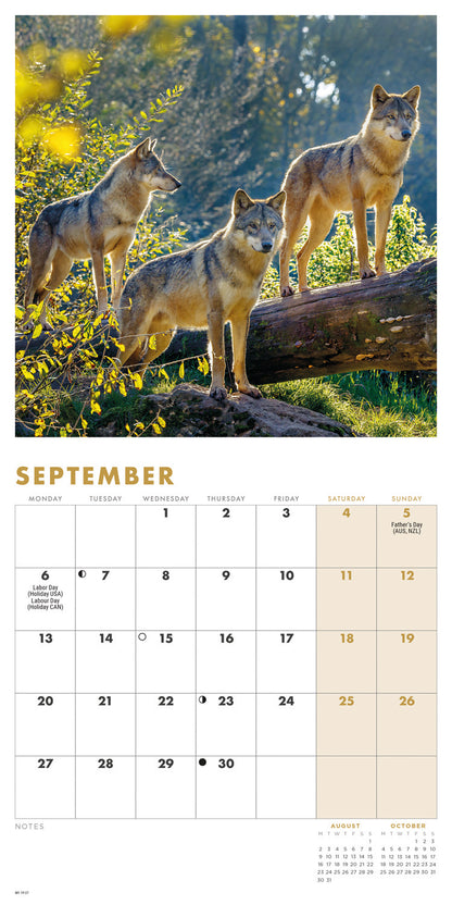 Wolves Mini Calendar 2027