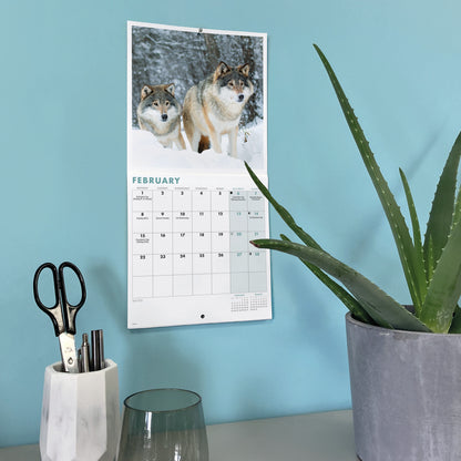 Wolves Mini Calendar 2027