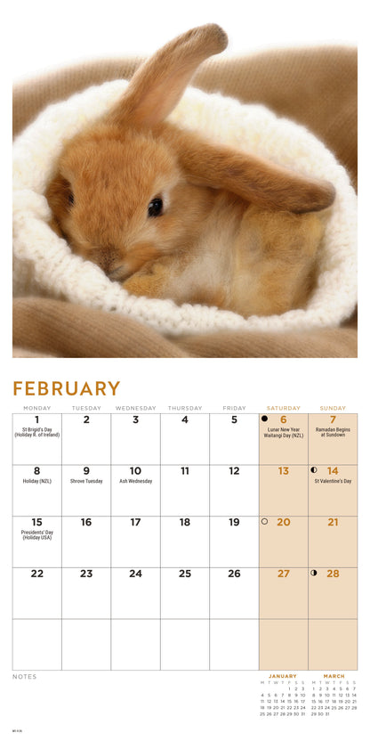 Bunnies Mini Calendar 2027