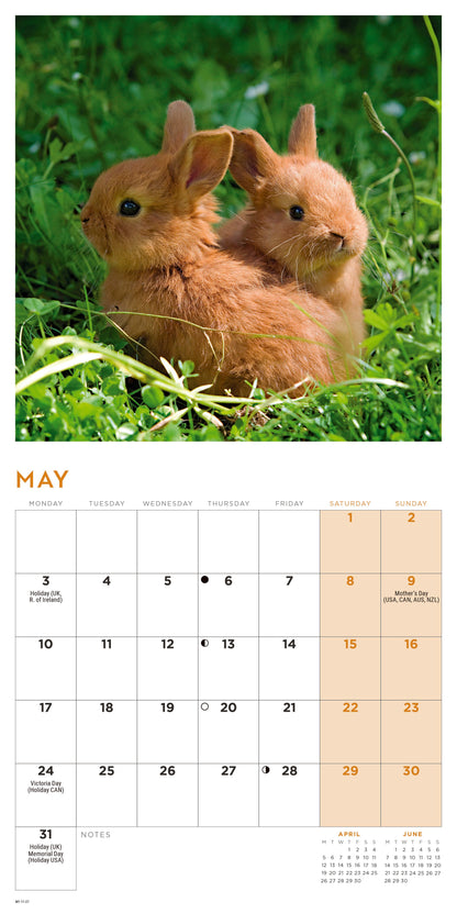 Bunnies Mini Calendar 2027