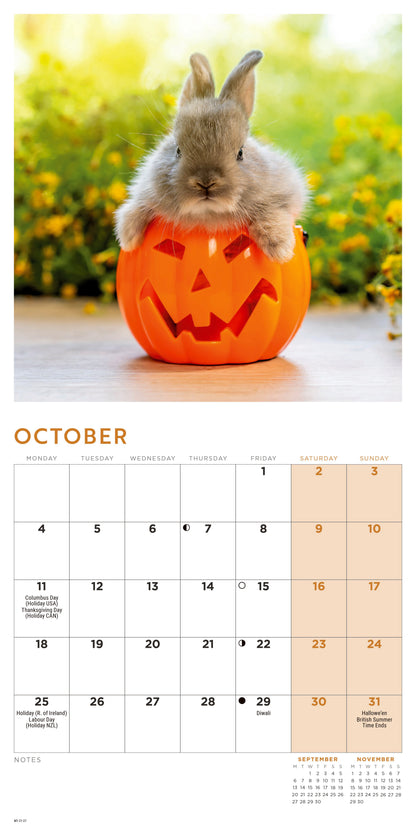 Bunnies Mini Calendar 2027