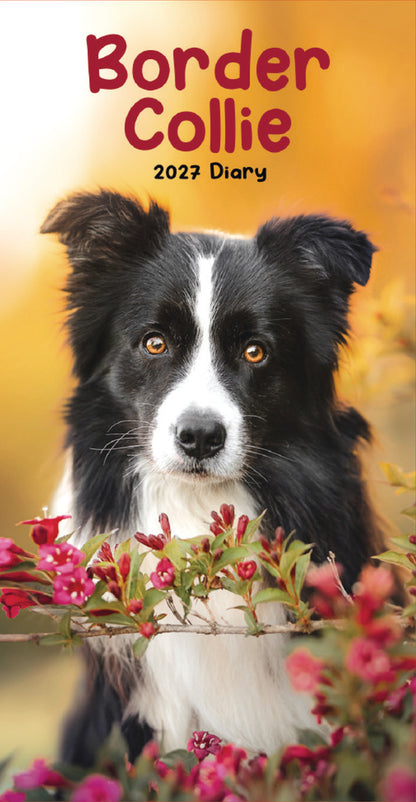 Border Collies Slim Diary 2027