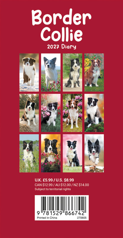 Border Collies Slim Diary 2027