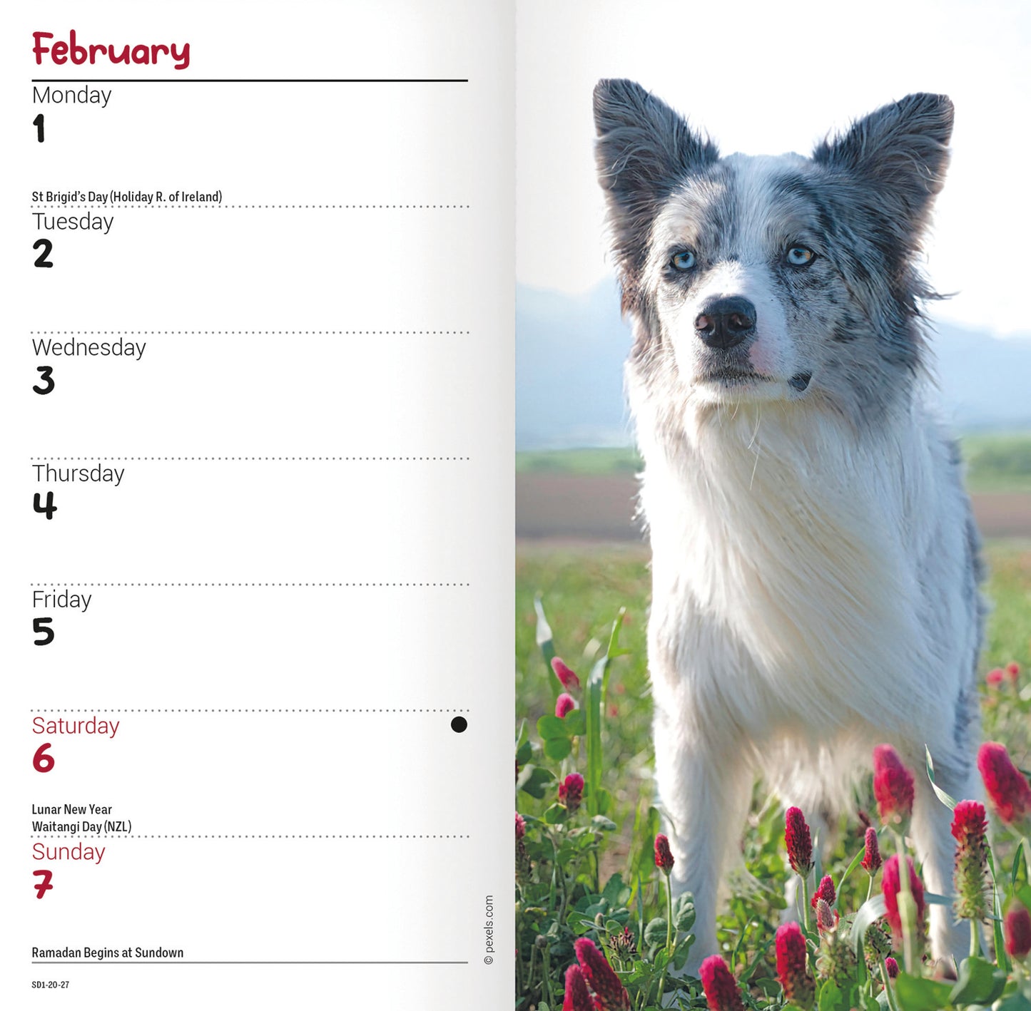 Border Collies Slim Diary 2027