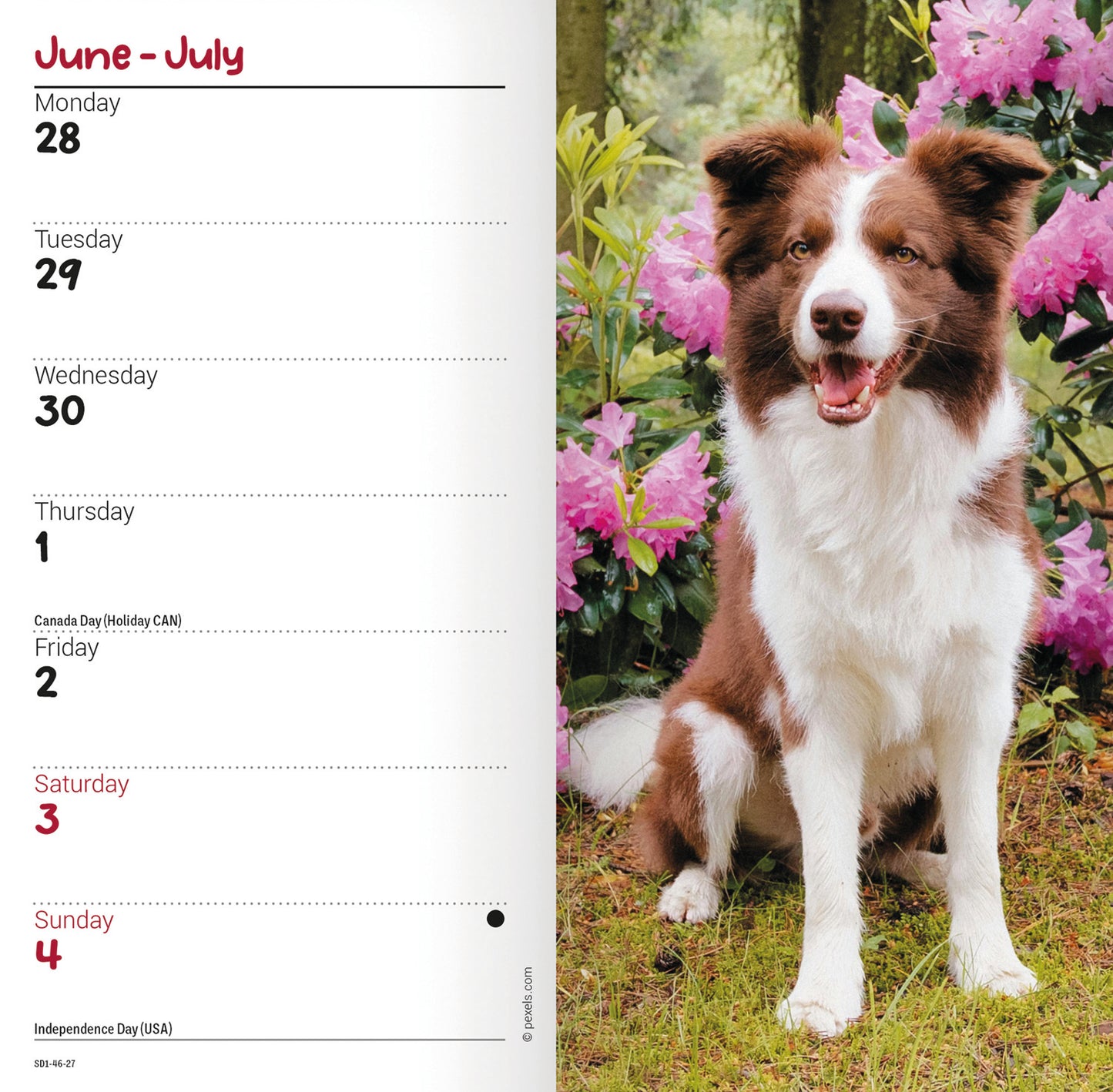 Border Collies Slim Diary 2027