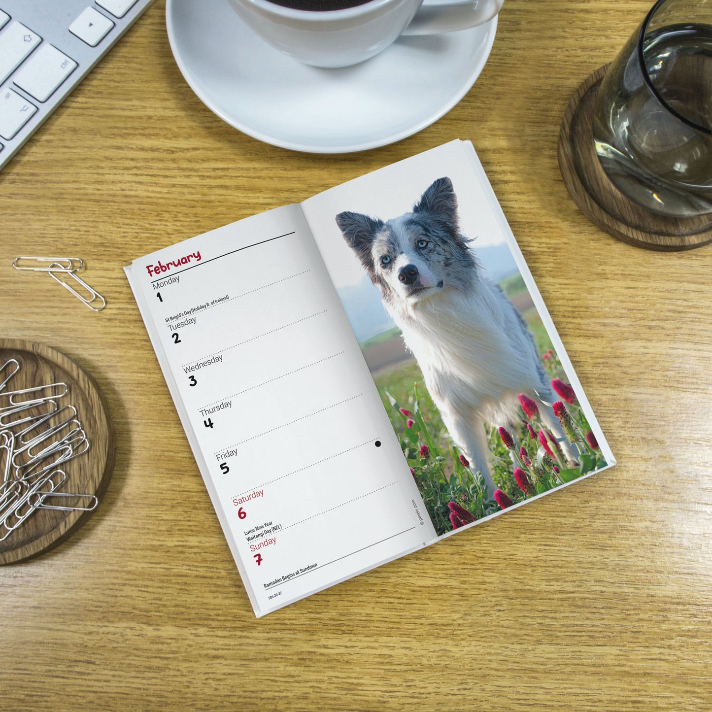 Border Collies Slim Diary 2027