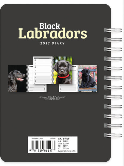 Labrador Retrievers Black A5 Diary 2027