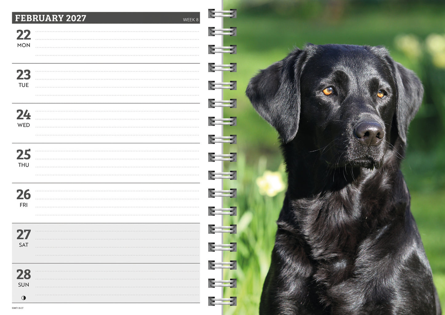 Labrador Retrievers Black A5 Diary 2027
