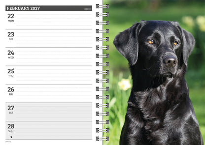 Labrador Retrievers Black A5 Diary 2027