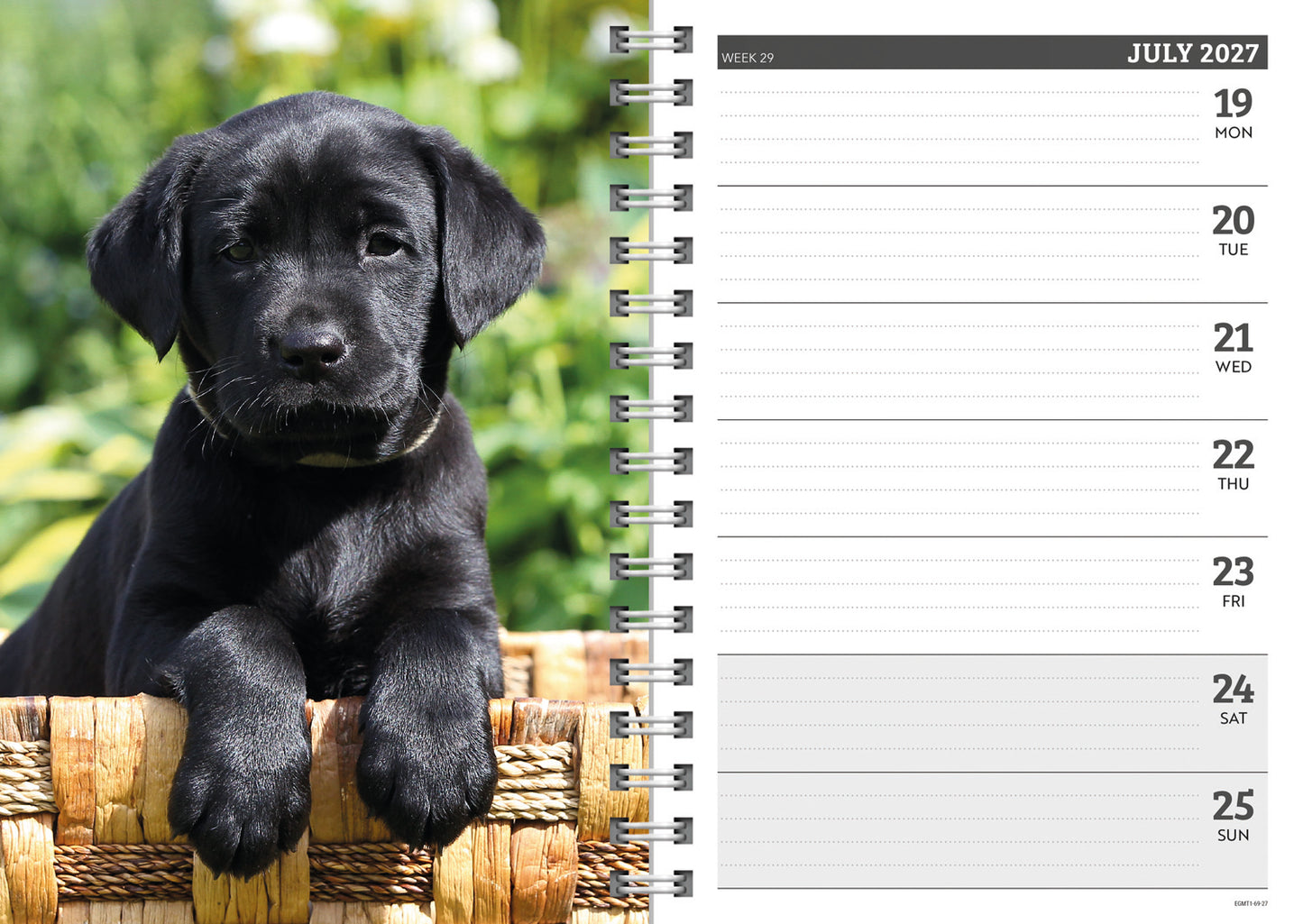 Labrador Retrievers Black A5 Diary 2027