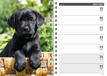 Labrador Retrievers Black A5 Diary 2027