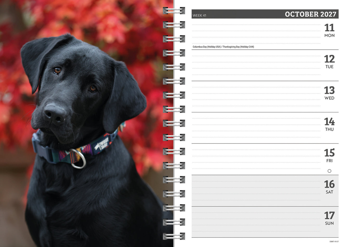 Labrador Retrievers Black A5 Diary 2027