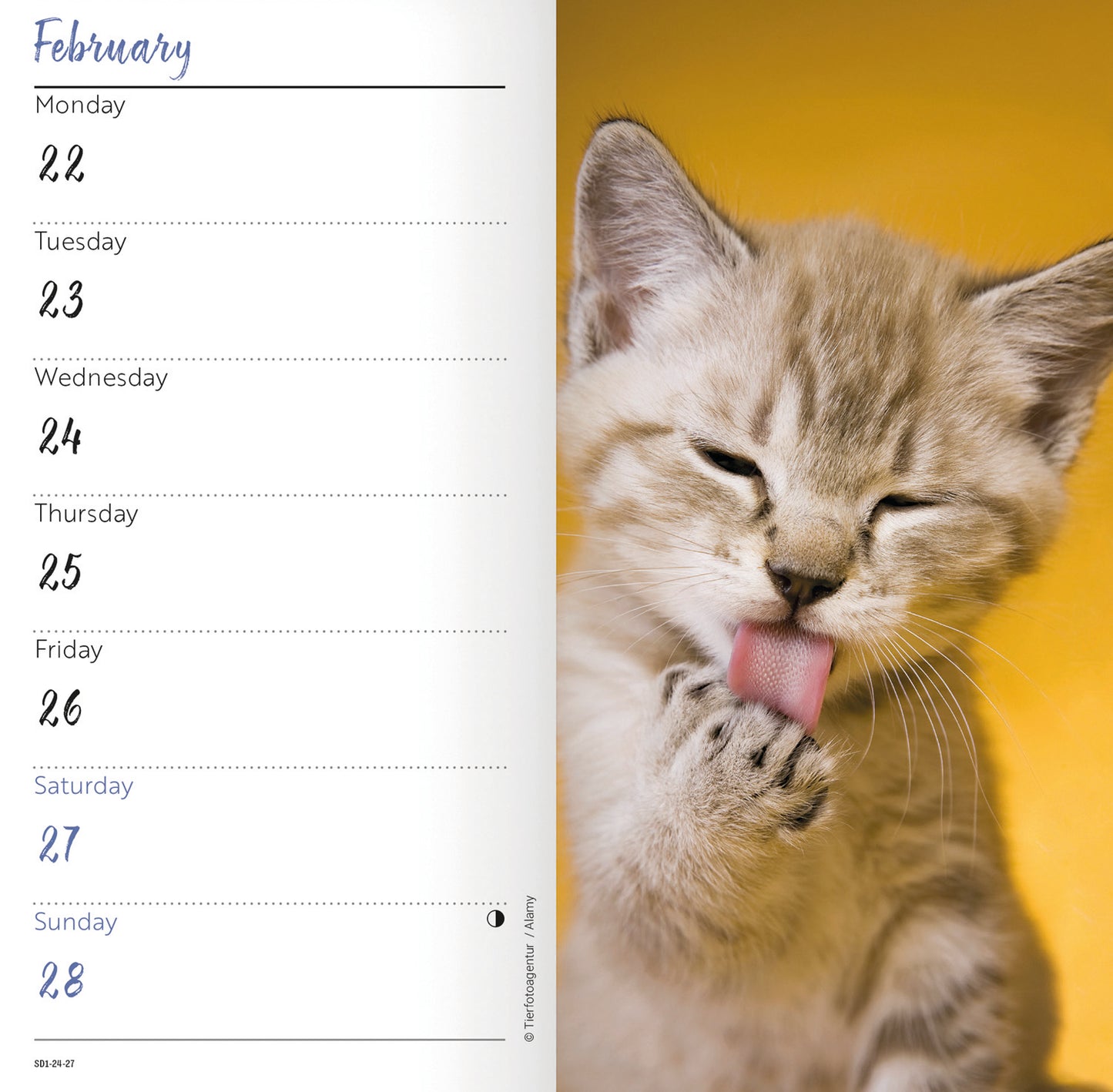 Kittens Slim Diary 2027