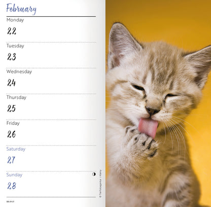 Kittens Slim Diary 2027