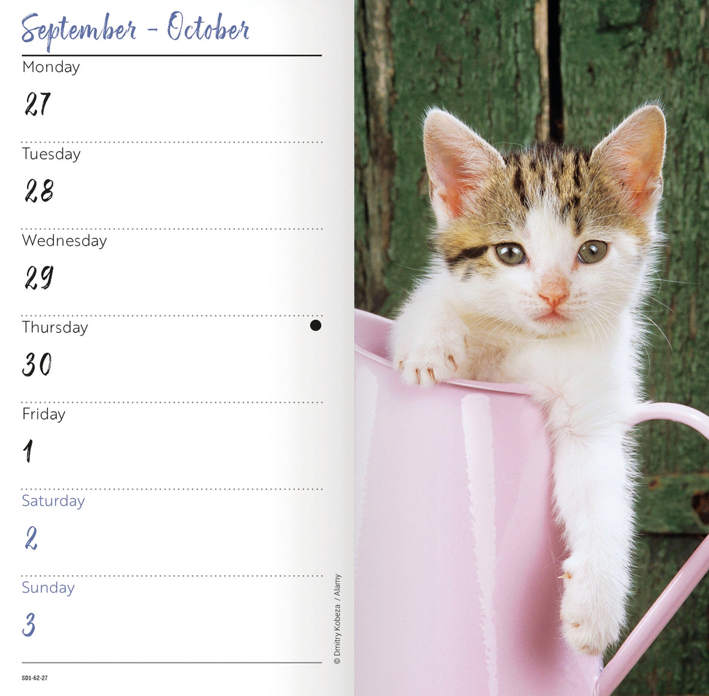 Kittens Slim Diary 2027