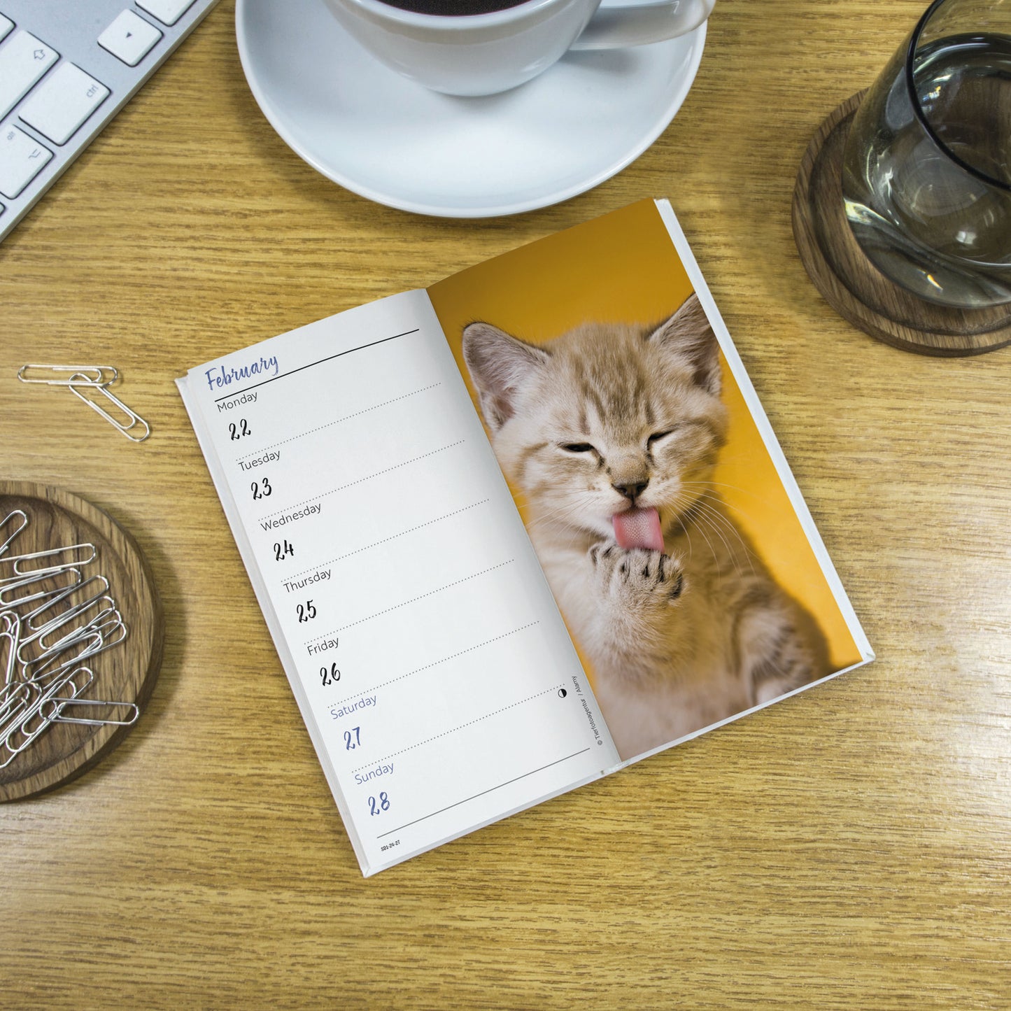 Kittens Slim Diary 2027