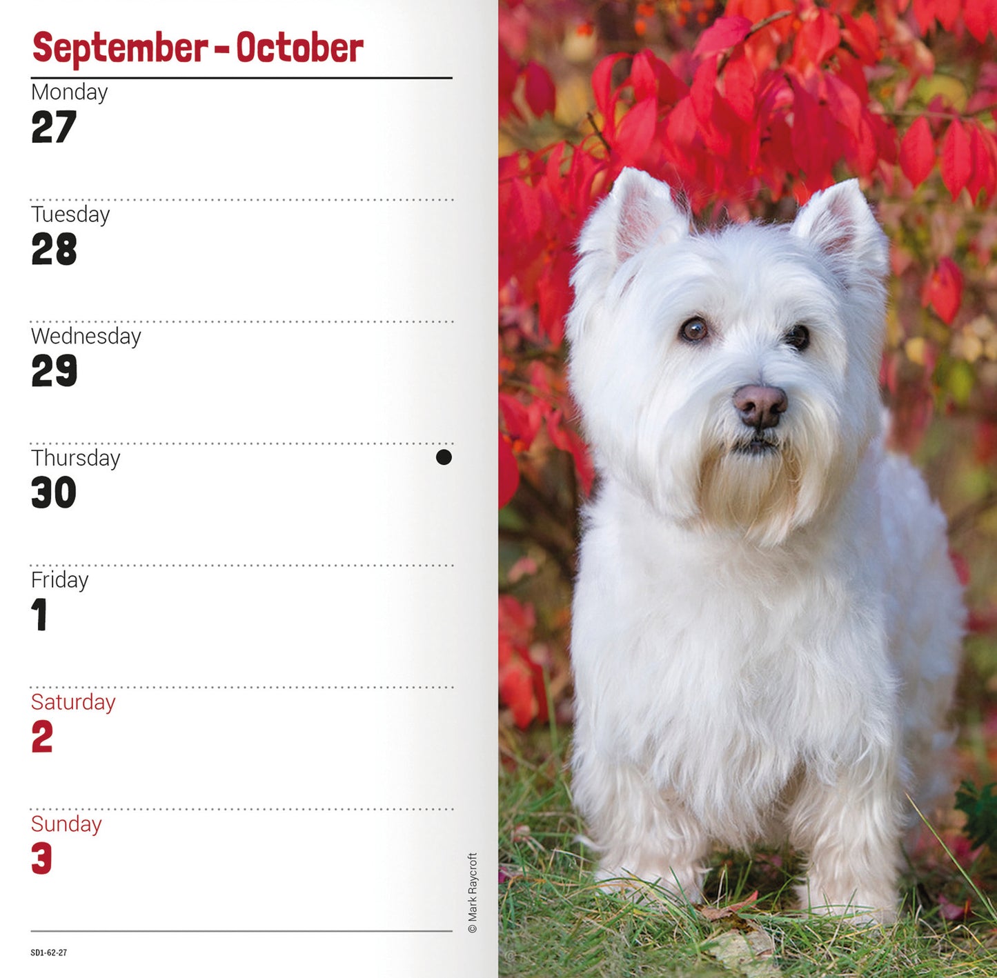 West Highland White Terriers Slim Diary 2027