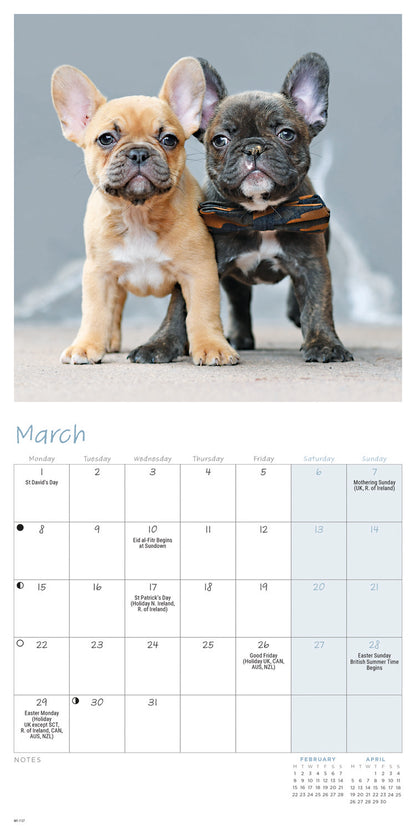 French Bulldogs Mini Calendar 2027