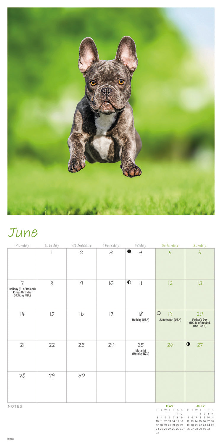 French Bulldogs Mini Calendar 2027